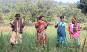ডিজিটালাইজেশনের ফাঁদে বিপন্ন আদিবাসী চাষিরা! সরকারি সাহায্য থেকে বঞ্চিত হওয়ার বড় আশঙ্কায় অন্ধপ্রদেশের কৃষকরা?