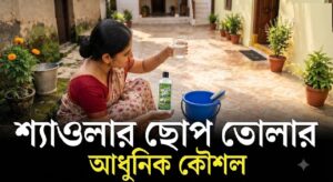 শ্যাওলার আস্তরণে পিছল হয়ে গেছে ছাদ বা উঠোন? জেনে নিন সহজ ঘরোয়া উপায়