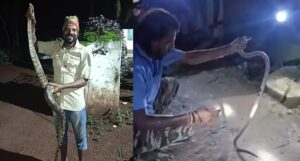 কৌটোয় সাপ ভরার সময় ছোবল! এ কোন নিষ্ঠুর পরিহাসে প্রাণ গেল এলাকার ‘সর্পবন্ধু’র?