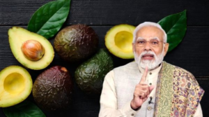 ক্যাফে থেকে মোদির ইনস্টাগ্রাম রিল! ভারতের হেঁশেলে কীভাবে রাজত্ব জমাচ্ছে বিদেশি ফল অ্যাভোকাডো?