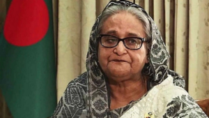 দেশে ফিরতে চান শেখ হাসিনা! ডিসেম্বরেই কি প্রত্যাবর্তন? তারেক রহমানকে নিয়ে বিস্ফোরক দাবি প্রাক্তন প্রধানমন্ত্রীর