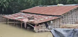 পাকা বাড়ি থাকলেও ছাদের ওপর পলিথিন টাঙিয়ে বসবাস! কাটিহারে বন্যার মাঝে মর্মান্তিক ছবি!