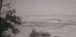 ভোপালে মৌসুমি দুর্যোগ! বড় তালাব উপচে পড়ার উপক্রম হতেই হুড়মুড়িয়ে খুলল বাঁধের গেট