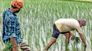 শুধু আধার বা ই-কেওয়াইসি নয়! বিহারের কৃষকদের জন্য বড় নিয়মে সিলমোহর, আটকে যেতে পারে সরকারি অনুদান