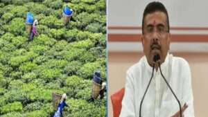 পুজোতে বাম্পার বোনাস! ২.৫ লক্ষের বেশি চা শ্রমিকের মুখে হাসি ফোটালেন মুখ্যমন্ত্রী