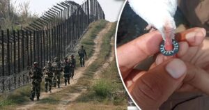 পাখির পায়ে পাকিস্তানি কোড! জম্মু-কাশ্মীরে সন্দেহজনক কবুতর উদ্ধার হতেই তুঙ্গে গোয়েন্দা সতর্কতা