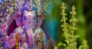 গণেশ চতুর্থীতে তুলসী পাতা কেন একেবারেই নিষিদ্ধ? জানুন এর পিছনের চমকপ্রদ পৌরাণিক রহস্য!