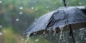 দক্ষিণবঙ্গে কি দুর্যোগ কাটছে? উত্তরবঙ্গে বাড়বে বৃষ্টির তাণ্ডব, আবহাওয়ার বিরাট আপডেট দিল হাওয়া অফিস