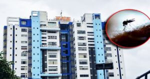 পুজোর আনন্দ মাটি করতে আসছে মারণ ডেঙ্গি! অক্টোবর-নভেম্বর নিয়ে চরম সতর্কবার্তা প্রশাসনের