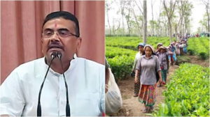মাসের শেষে বেতন কাটছে কিন্তু PF জমা পড়ছে না? আর রক্ষে নেই! ৬ বাগানের বিরুদ্ধে সোজা ওয়ারেন্ট