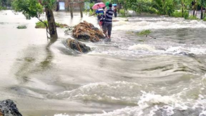 ভুতনি ও গঙ্গাসাগরে বাঁধ ভেঙে চরম বিপর্যয়! ডিভিসি জল ছাড়তেই নবান্নে জরুরি তলব সমস্ত এঞ্জিনিয়ারকে