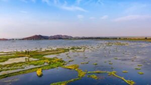 পানির ওপর ভাসছে আস্ত একটা জাতীয় উদ্যান! বিশ্বের একমাত্র বিস্ময়টি রয়েছে ভারতেই, ঠিকানা কোথায় জানেন?